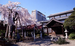 洞林寺の写真