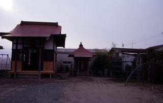 春日神社の概観写真