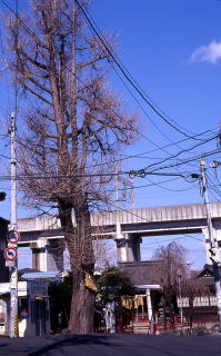 三宝大荒神社の概観写真