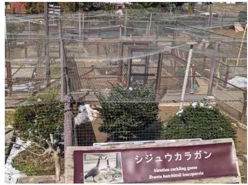 八木山動物公園