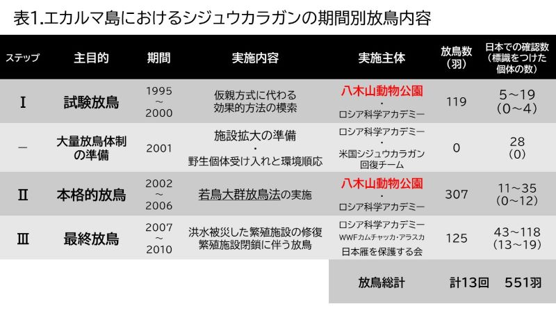 表　エカルマ島におけるシジュウカラガンの期間別放鳥内容