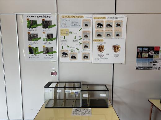 セミのぬけがら調査員になろう