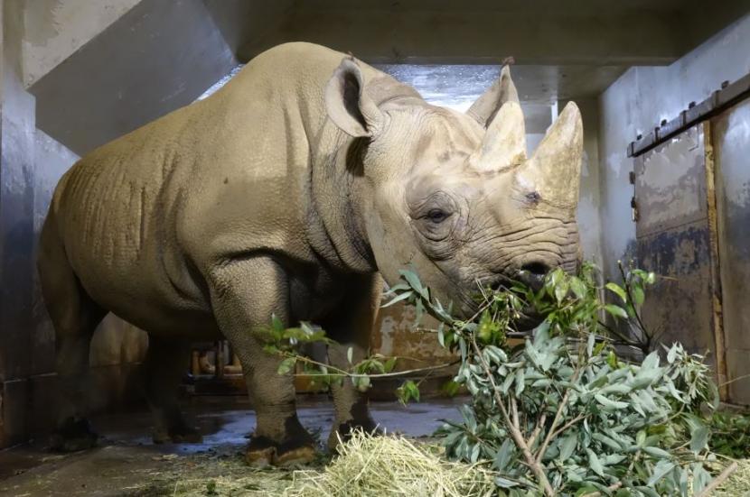 動物園セミナー