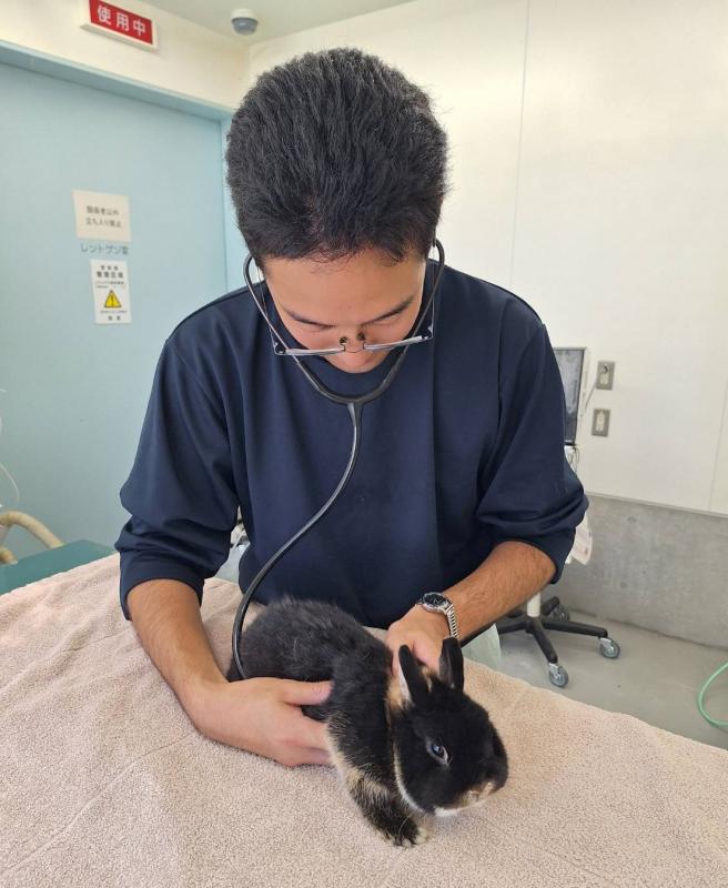 オータムスクール