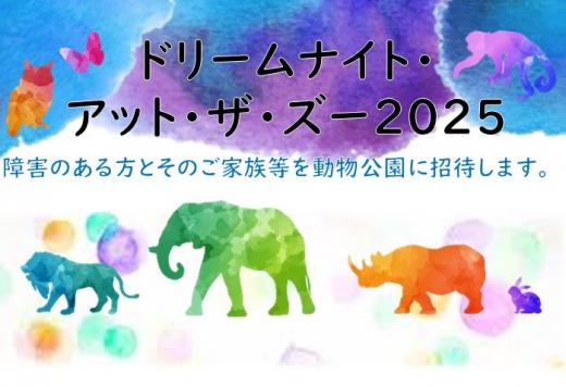 ドリームナイトアットザズー