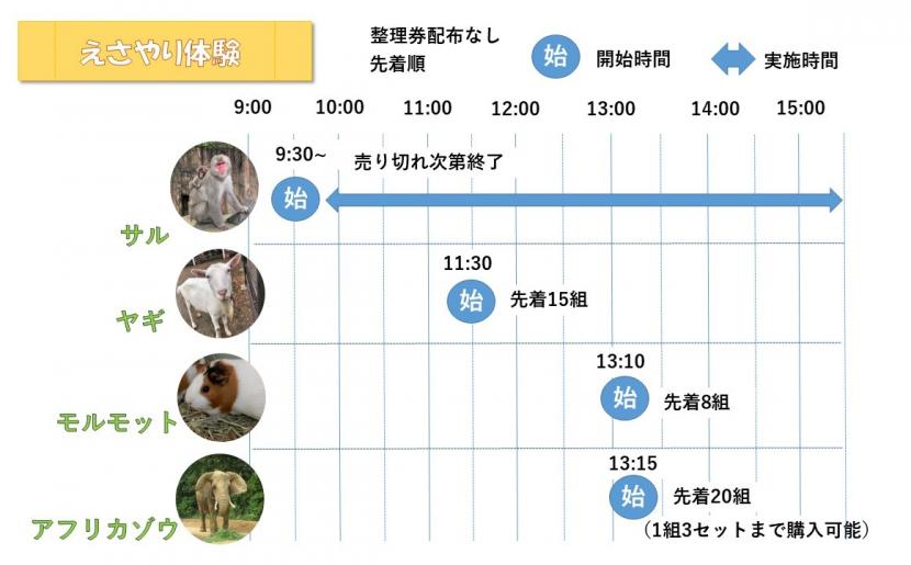 えさやり体験タイムテーブル
