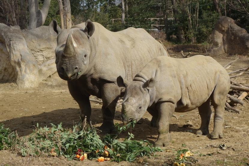 母親のユキとラン