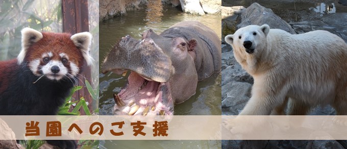 当園へのご支援