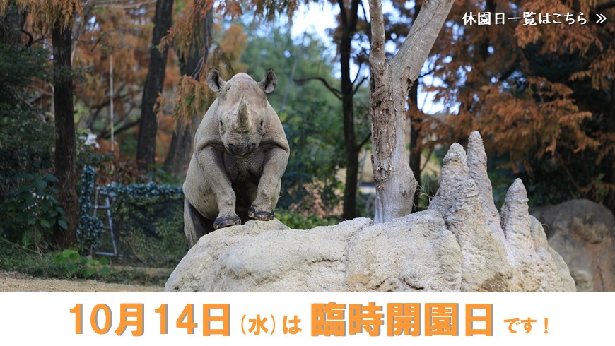 10月14日水曜日は臨時開園日です