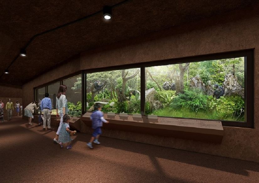 観覧洞窟屋外放飼場の展示イメージ