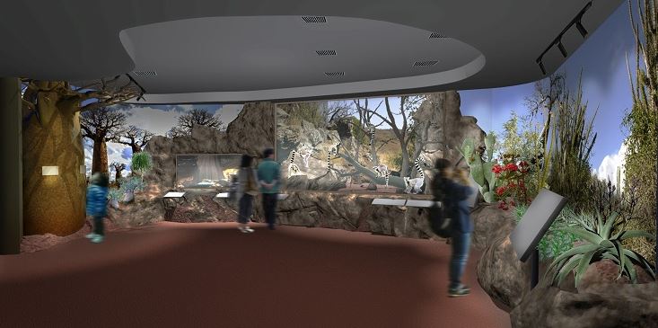 マダガスカル地域の展示イメージ