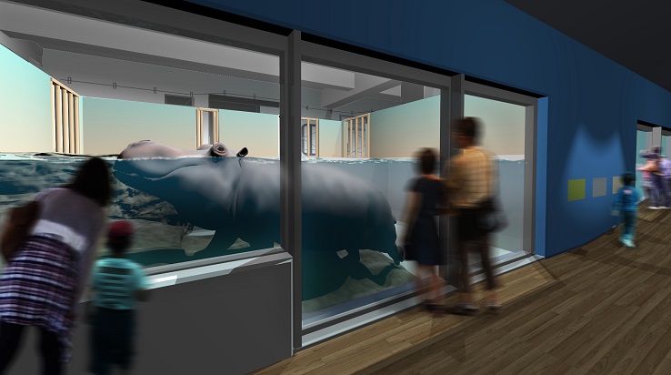 屋内展示場の展示イメージ