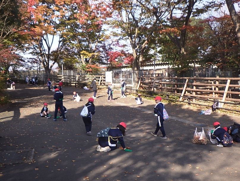 落ち葉を拾い集めている様子