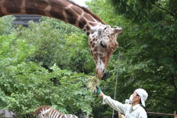 R4　写真コンクール　佳作10