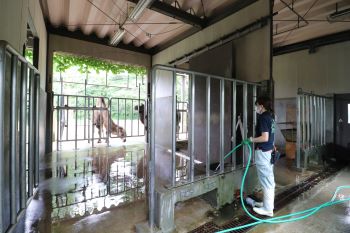 R4　写真コンクール　佳作2