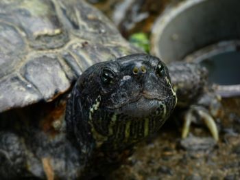R4　写真コンクール　佳作3