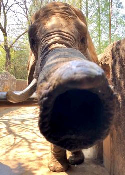 R4　写真コンクール　佳作4