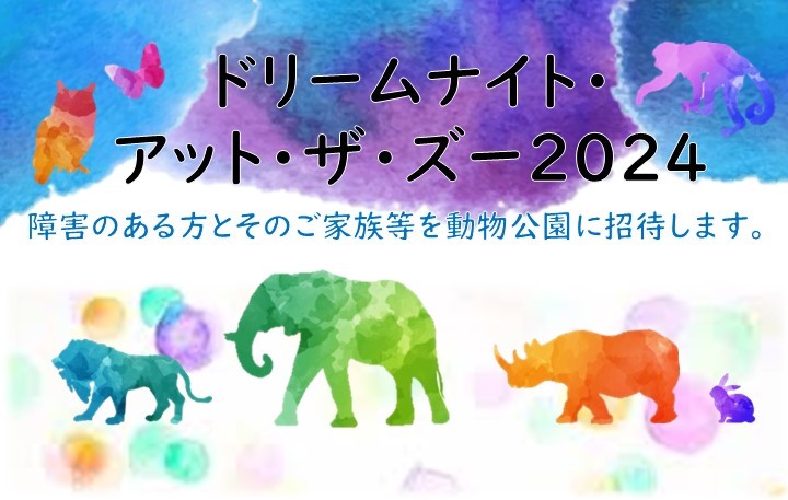 ドリームナイトアットザズー2024