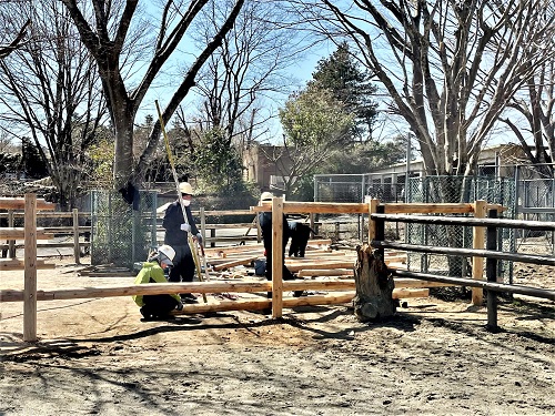 対州馬の柵リニューアル1