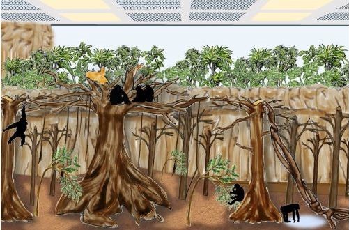 チンパンジーの屋内展示場内部のイメージ図
