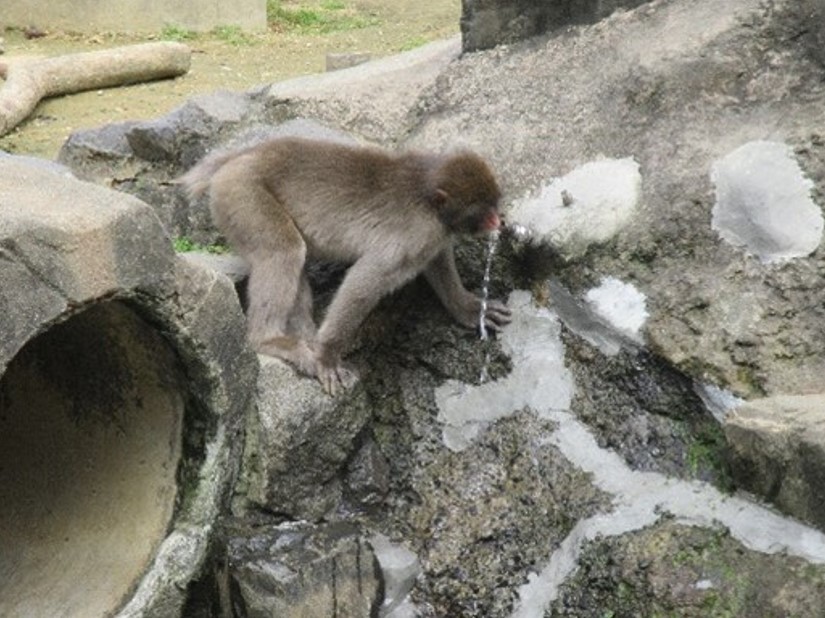 水が出るところから直飲みスタイル