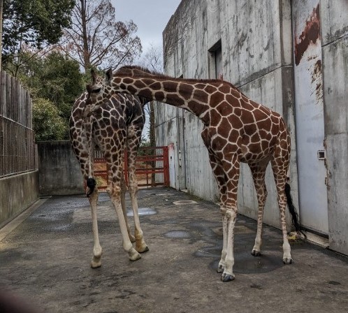 初めての同居　ブログ6