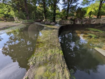 ブログ　アフリカ園大掃除　右・花子ベン側　左・キリンシマウマ側3