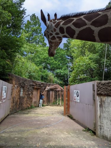 ブログ6　エミリー見守り隊