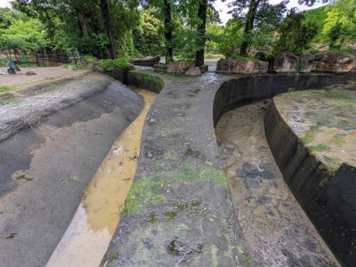 ブログ　アフリカ園大掃除　排水終了6